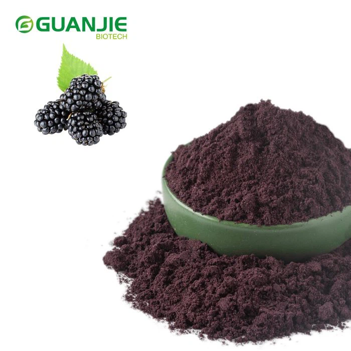 Polvo de fruta de morera