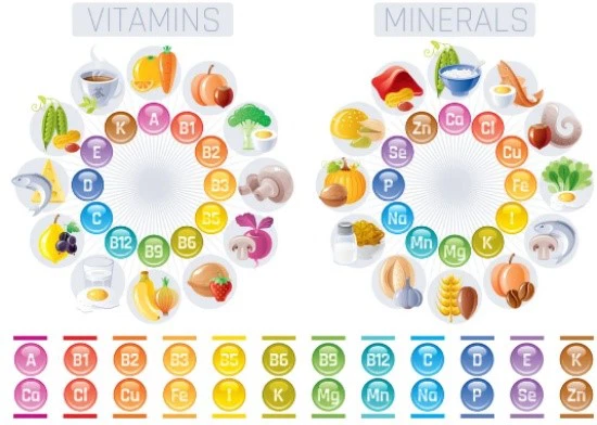 Vitamins And Minerals Vitamins And Minerals