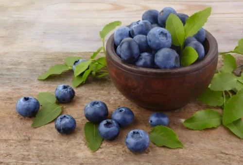 Antioxidant Ingredients blueberry powder Antioxidant Ingredients blueberry powder