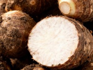 pure taro