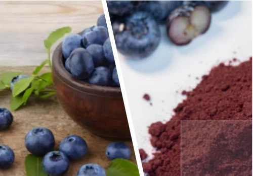 blueberry powder Moisture Content blueberry powder Moisture Content